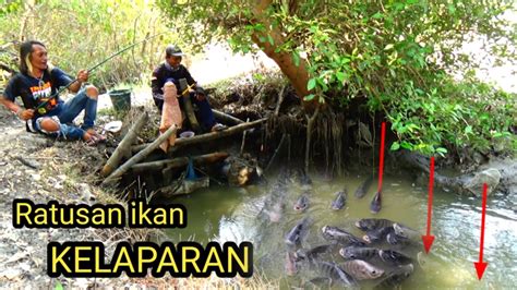 Pemancing Mana Yg Gak TERGODA Mancing Sambil MEREM Bisa Dapat Ikan