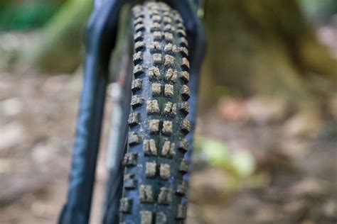 The Maxxis Minion Dhf Tire Is Still The One To Beat Review