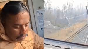 Eagle smashes through moving train’s window, injuring driver