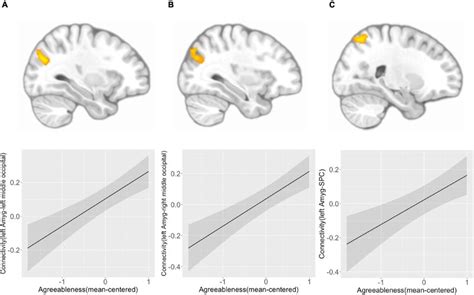 Left amygdala connectivity is positively associated with agreeableness ... 
