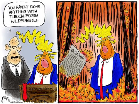 cartoon constitution 8