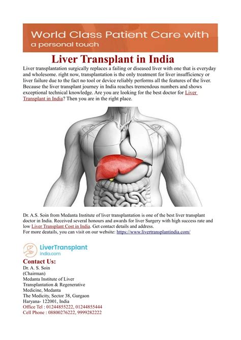 Ppt Liver Transplant In India Powerpoint Presentation Free Download Id8303228