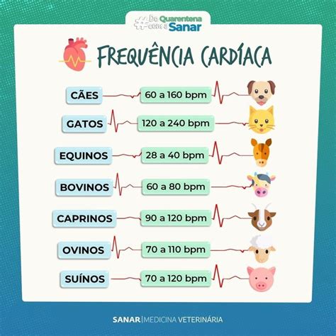 Veterinário Concurseiro on Instagram Esqueminha básico dos valores