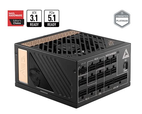 MEG Ai1000P PCIE5