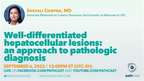 Liverpath Well Differentiated Hepatocellular Lesions An Approach To