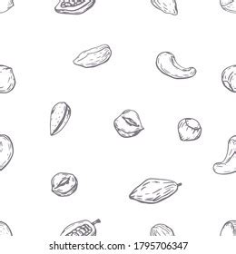 Different Nuts Set Sketch Style Hand Stock Vector Royalty Free