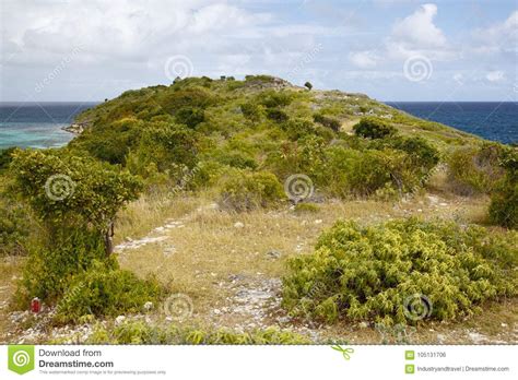 Bird Island Antigua Stock Photo Image Of Grass Bush 105131706