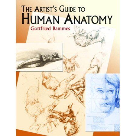 Dover The Artist S Guide To Human Anatomy Artofit