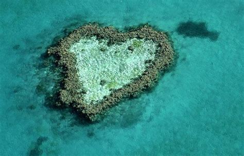 10 Beautiful Heart Shapes in Nature