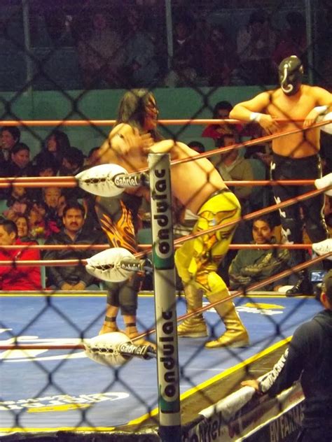 Lucha Libre Porra Fresa Shocker Doblega Al Buca Negro Casas