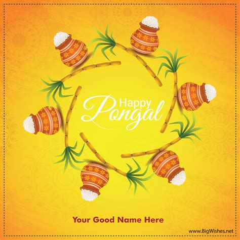 Pongal Wishes Card With Name Edit For What S App Instagram