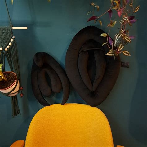 Vulva And Clitoris Pillows L Size Black Velvet Educational Puppets For Sex Education 19 Inch