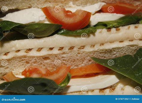 Mozzarella Tomate U Spinat Panini Stockfoto Bild Von Leben