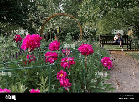 Summer in Botanical Gardens Bath Stock Photo - Alamy