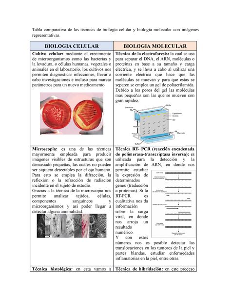 Tabla Comparativa De Las Técnicas De Biología Celular Y Biología