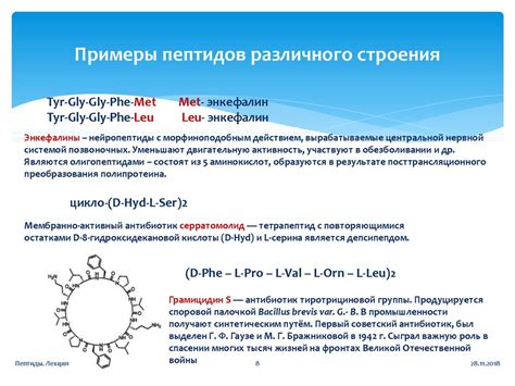 Пептиды. Номенклатура и классификация пептидов. Особенности строения ...