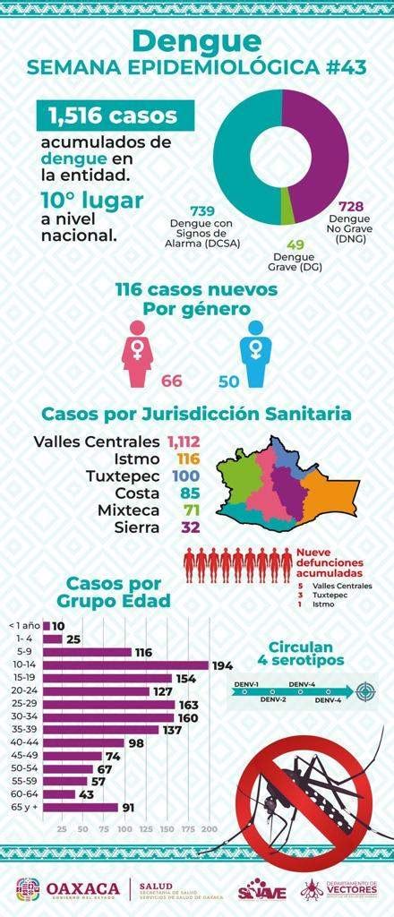 Reporta Sso Casos Nuevos De Dengue Primera L Nea