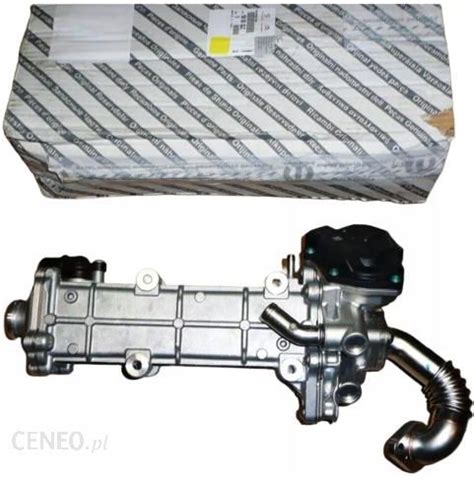 Citroen Oe Zawór Rgr Z Chłodnicą Jumper Boxer 30Hdi 1618Qz 1618 Qz Pv ...