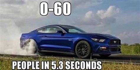 15 Top Mustang Meme Pictures And Funny Images QuotesBae