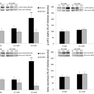 Effects Of Palmitic Acid Pa And Oleic Acid Oa On Sh Sy Y Cell