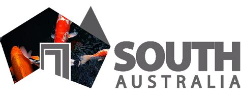 AUS10 An All-Purpose Metal in Knife Making – Koi Knives