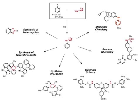 Figure From Applications Of Palladium Catalyzed Cn Cross Coupling