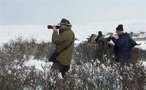 Qinghai in October Offers Fabulous Birding - Shanghai Birding 上海观鸟