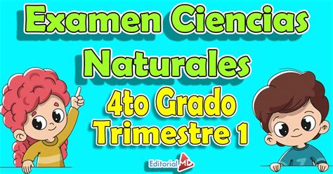 Examen De Ciencias Naturales Primer Grado Mobile Legends Porn Sex 650