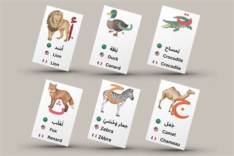 Arabic Alphabet Vocabulary Flashcards in Arabic English French - Etsy