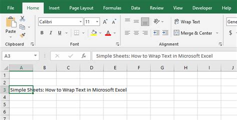 Beginners Guide How To Wrap Text In Excel