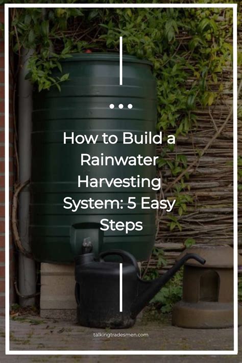 How To Build A Rainwater Harvesting System Easy Steps In