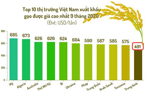 Top 10 Thị Trường Thế Giới Nhập Khẩu Gạo Việt Nam Nhiều Nhất 9 Tháng 2020