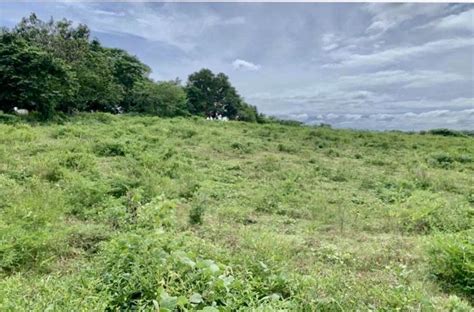 49 Hectares Of Prime Raw Land For Sale Along Tagaytay Nasugbu National