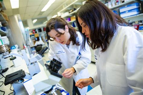 Curriculum Interdisciplinary Program In Neuroscience Georgetown