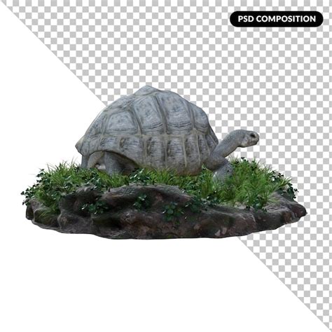 turtle resting  tree log psd high quality  psd templates