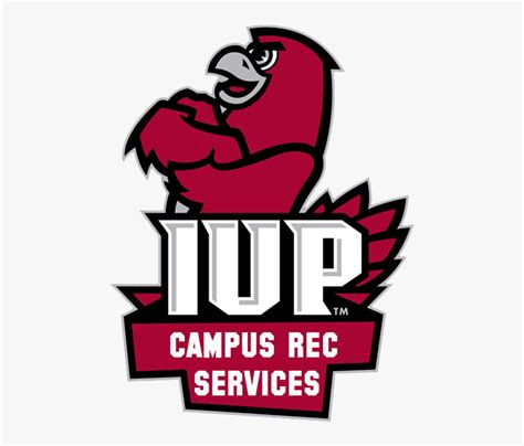 Fitness Clipart Intramurals - Indiana University Of Pa Mascot, HD Png ...