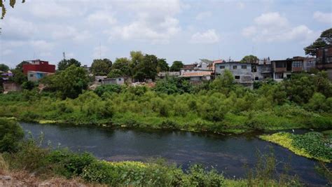 Profepa Contra Autoridades De Ixtaltepec Por Contaminar El Rio Los