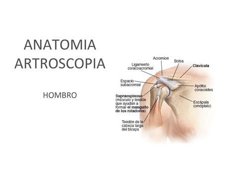 SOLUTION Artroscopia De Hombro Codo Y Mu Eca Studypool