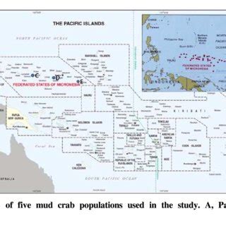 ''Topologic Structure" of the Yapese Empire in Micronesia (after Hage... | Download Scientific ...