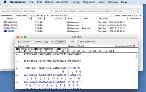 Convert Sequencher Genecodes Files To Snapgene Dna Format Snapgene