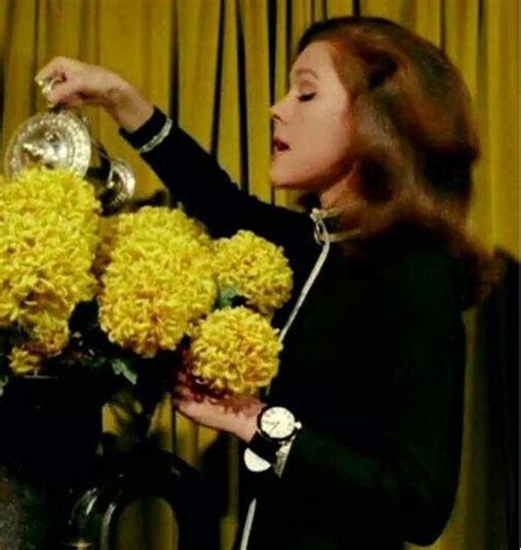 Pin By Phil Bloom On Avengers Emma Peel Avengers Girl Dame Diana Rigg