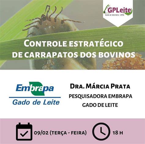 GPLeite Realiza Palestra Sobre Controle De Carrapatos Escola De