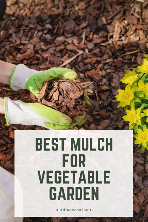 Best Mulch For Vegetable Garden Mulch For Vegetable Garden Garden