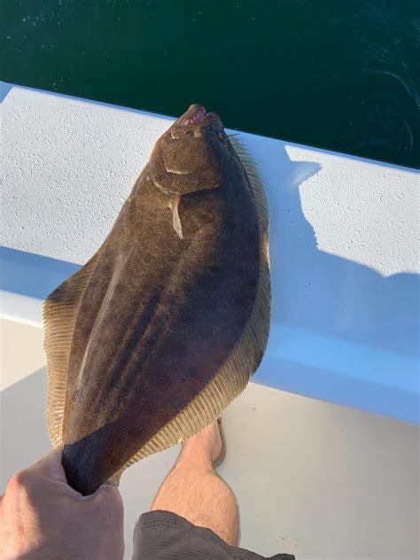 Early Season Fluke Fishing Lbi Nj Fishing Report Lbi Surf Fishing