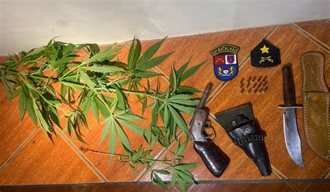 Em C Ndido De Abreu Pm Encontra Tr S P S De Maconha Ap S Caso De