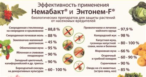 Немабакт: инструкция по применению и состав препарата, принцип действия