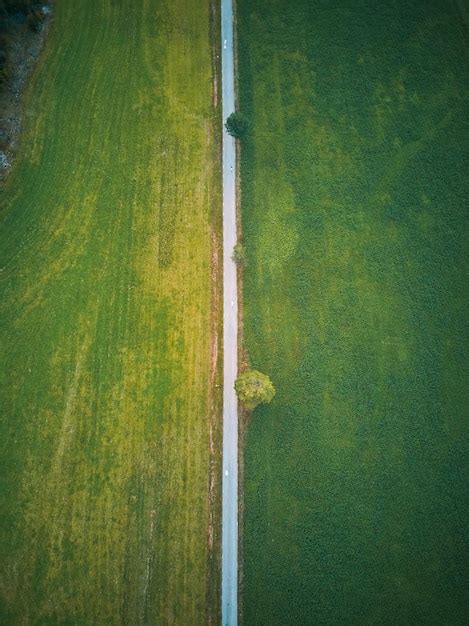 Un Camino En Un Campo Verde Foto Premium