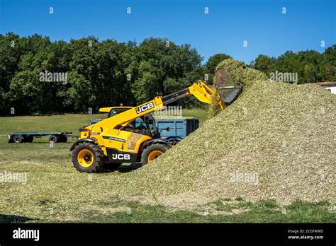 Laguepie, France 25.08.2020 Preparing sorghum silage for cattle feeding ...