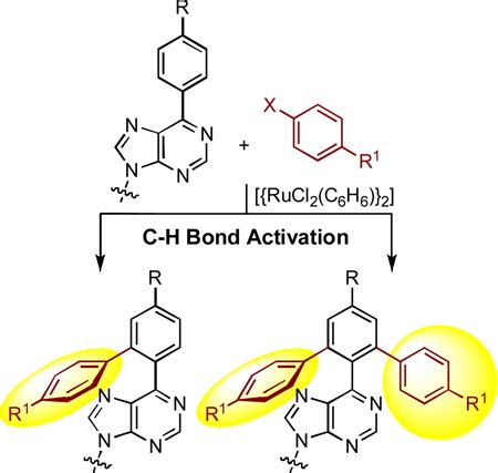 Direct Arylation Of 6 Phenylpurine And 6 Arylpurine Nucleosides By