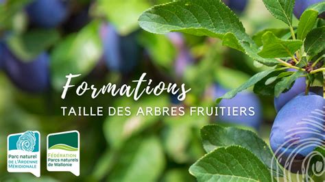 Verger Formations Pour Les Citoyens Actualit Parc Naturel De L